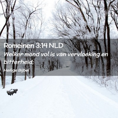 Picture 02 - Romeinen 3:14 NLD - Welker mond vol is van vervloeking en - Bible Verse Picture