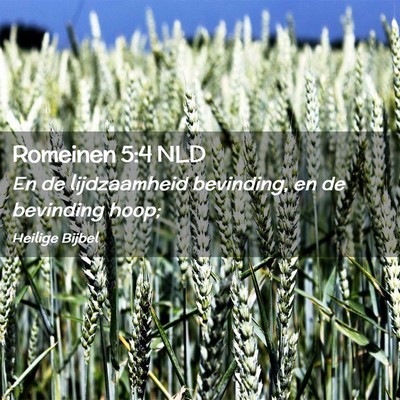 Picture 02 - Romeinen 5:4 NLD - En de lijdzaamheid bevinding, en de bevinding - Bible Verse Picture