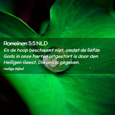 Picture 02 - Romeinen 5:5 NLD - En de hoop beschaamt niet, omdat de liefde Gods - Bible Verse Picture