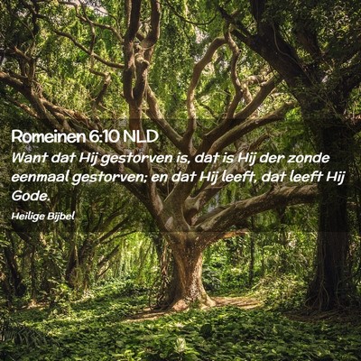 Picture 02 - Romeinen 6:10 NLD - Want dat Hij gestorven is, dat is Hij der zonde - Bible Verse Picture