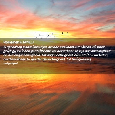 Picture 02 - Romeinen 6:19 NLD - Ik spreek op menselijke wijze, om der zwakheid - Bible Verse Picture
