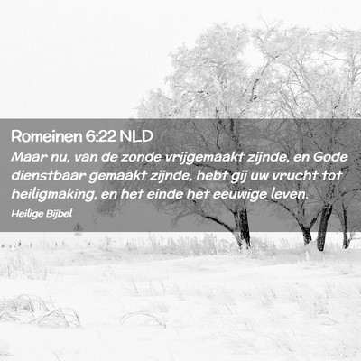 Picture 02 - Romeinen 6:22 NLD - Maar nu, van de zonde vrijgemaakt zijnde, en Gode - Bible Verse Picture