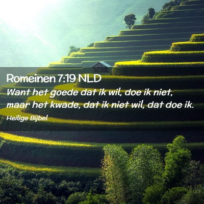 Picture 02 - Romeinen 7:19 NLD - Want het goede dat ik wil, doe ik niet, maar het - Bible Verse Picture