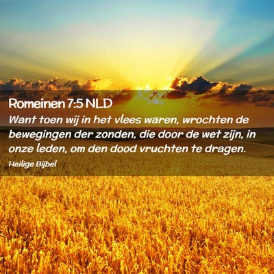 Picture 02 - Romeinen 7:5 NLD - Want toen wij in het vlees waren, wrochten de - Bible Verse Picture