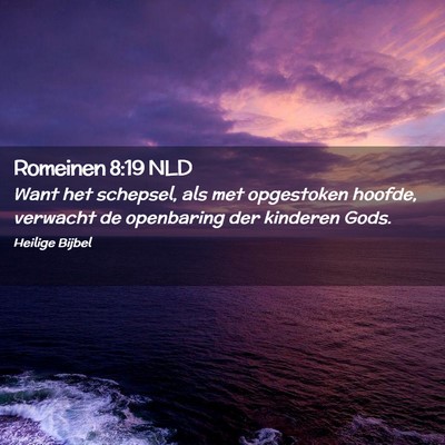 Picture 02 - Romeinen 8:19 NLD - Want het schepsel, als met opgestoken hoofde, - Bible Verse Picture