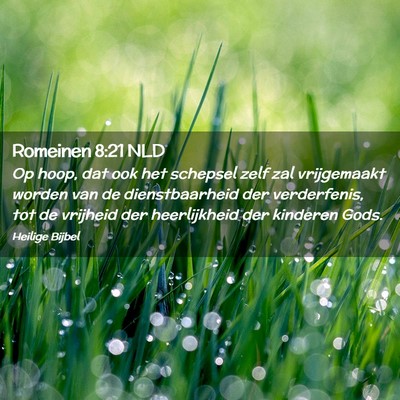 Picture 02 - Romeinen 8:21 NLD - Op hoop, dat ook het schepsel zelf zal - Bible Verse Picture
