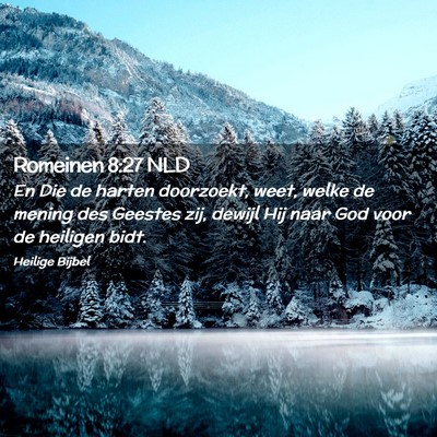 Picture 02 - Romeinen 8:27 NLD - En Die de harten doorzoekt, weet, welke de mening - Bible Verse Picture