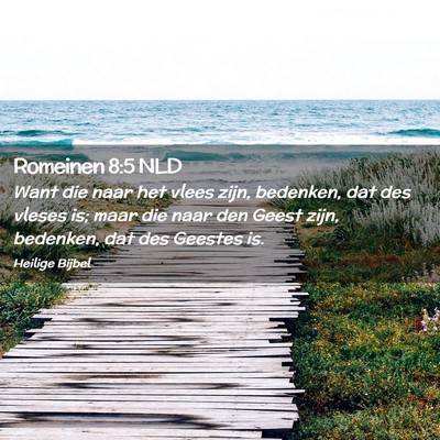 Picture 02 - Romeinen 8:5 NLD - Want die naar het vlees zijn, bedenken, dat des - Bible Verse Picture