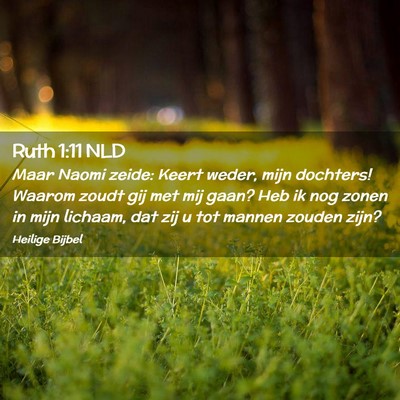 Picture 02 - Ruth 1:11 NLD - Maar Naomi zeide: Keert weder, mijn dochters! - Bible Verse Picture