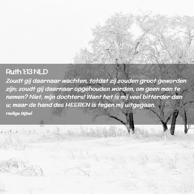 Picture 02 - Ruth 1:13 NLD - Zoudt gij daarnaar wachten, totdat zij zouden - Bible Verse Picture