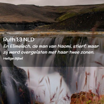 Picture 02 - Ruth 1:3 NLD - En Elimelech, de man van Naomi, stierf; maar zij - Bible Verse Picture
