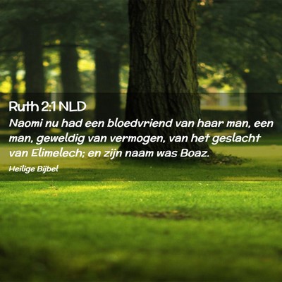 Picture 02 - Ruth 2:1 NLD - Naomi nu had een bloedvriend van haar man, een - Bible Verse Picture