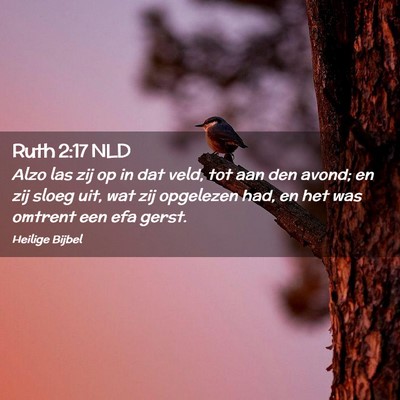 Picture 02 - Ruth 2:17 NLD - Alzo las zij op in dat veld, tot aan den avond; - Bible Verse Picture