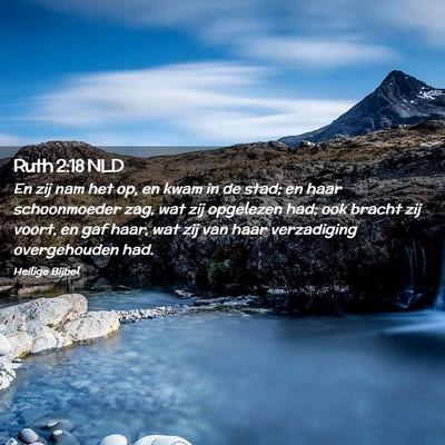 Picture 02 - Ruth 2:18 NLD - En zij nam het op, en kwam in de stad; en haar - Bible Verse Picture