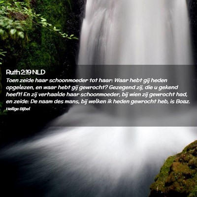 Picture 02 - Ruth 2:19 NLD - Toen zeide haar schoonmoeder tot haar: Waar hebt - Bible Verse Picture