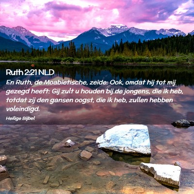 Picture 02 - Ruth 2:21 NLD - En Ruth, de Moabietische, zeide: Ook, omdat hij - Bible Verse Picture