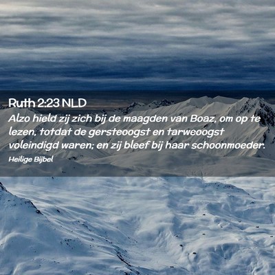 Picture 02 - Ruth 2:23 NLD - Alzo hield zij zich bij de maagden van Boaz, om - Bible Verse Picture