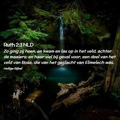 Picture 02 - Ruth 2:3 NLD - Zo ging zij heen, en kwam en las op in het veld, - Bible Verse Picture