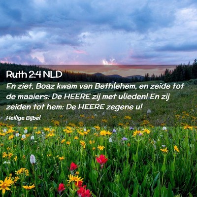 Picture 02 - Ruth 2:4 NLD - En ziet, Boaz kwam van Bethlehem, en zeide tot de - Bible Verse Picture