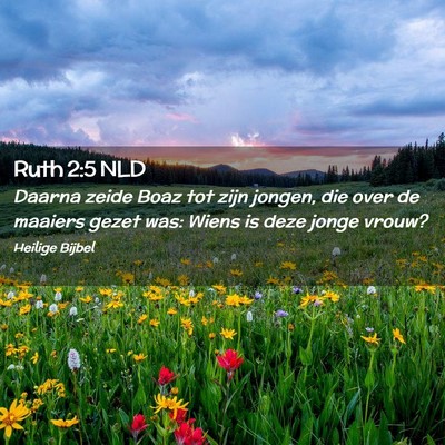 Picture 02 - Ruth 2:5 NLD - Daarna zeide Boaz tot zijn jongen, die over de - Bible Verse Picture