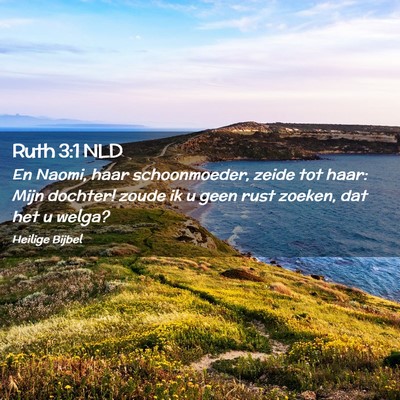Picture 02 - Ruth 3:1 NLD - En Naomi, haar schoonmoeder, zeide tot haar: Mijn - Bible Verse Picture