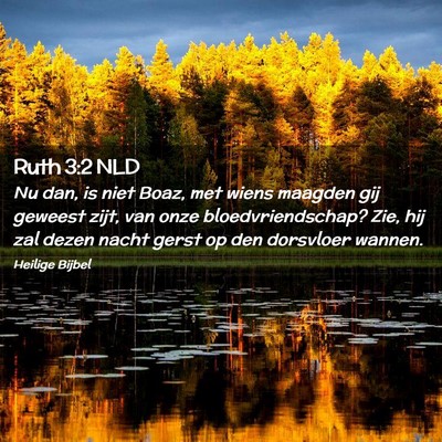 Picture 02 - Ruth 3:2 NLD - Nu dan, is niet Boaz, met wiens maagden gij - Bible Verse Picture