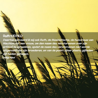 Picture 02 - Ruth 4:10 NLD - Daartoe aanvaard ik mij ook Ruth, de - Bible Verse Picture