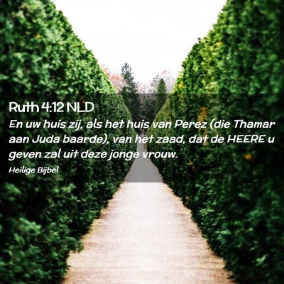 Picture 02 - Ruth 4:12 NLD - En uw huis zij, als het huis van Perez (die - Bible Verse Picture