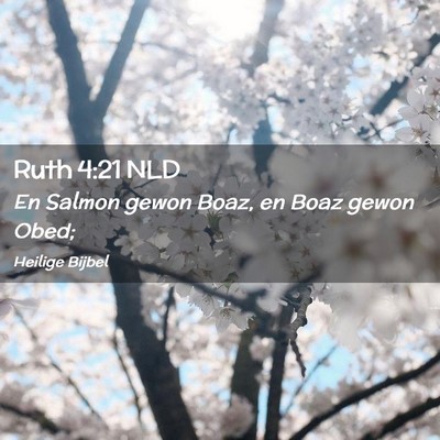 Picture 02 - Ruth 4:21 NLD - En Salmon gewon Boaz, en Boaz gewon - Bible Verse Picture