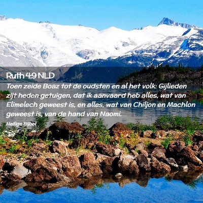 Picture 02 - Ruth 4:9 NLD - Toen zeide Boaz tot de oudsten en al het volk: - Bible Verse Picture