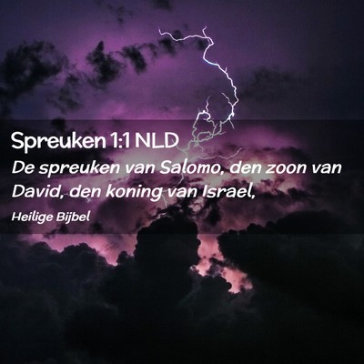 Picture 02 - Spreuken 1:1 NLD - De spreuken van Salomo, den zoon van David, den - Bible Verse Picture
