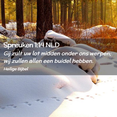 Picture 02 - Spreuken 1:14 NLD - Gij zult uw lot midden onder ons werpen; wij - Bible Verse Picture