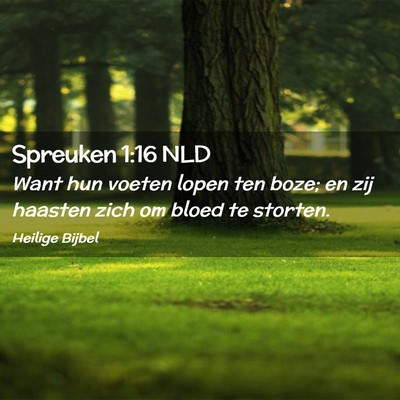 Picture 02 - Spreuken 1:16 NLD - Want hun voeten lopen ten boze; en zij haasten - Bible Verse Picture