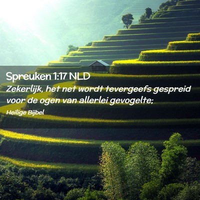 Picture 02 - Spreuken 1:17 NLD - Zekerlijk, het net wordt tevergeefs gespreid voor - Bible Verse Picture