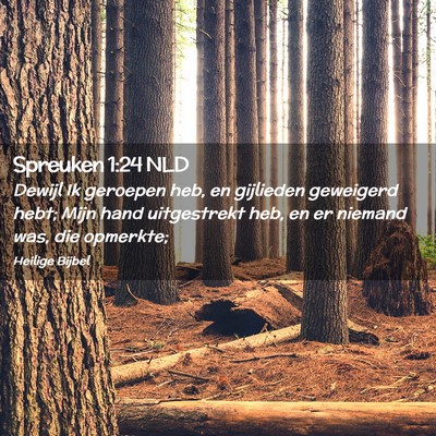 Picture 02 - Spreuken 1:24 NLD - Dewijl Ik geroepen heb, en gijlieden geweigerd - Bible Verse Picture