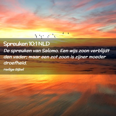 Picture 02 - Spreuken 10:1 NLD - De spreuken van Salomo. Een wijs zoon verblijdt - Bible Verse Picture