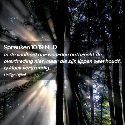 Picture 02 - Spreuken 10:19 NLD - In de veelheid der woorden ontbreekt de - Bible Verse Picture