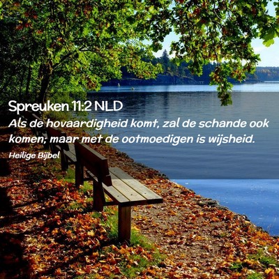 Picture 02 - Spreuken 11:2 NLD - Als de hovaardigheid komt, zal de schande ook - Bible Verse Picture