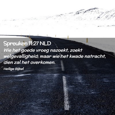 Picture 02 - Spreuken 11:27 NLD - Wie het goede vroeg nazoekt, zoekt - Bible Verse Picture