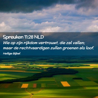 Picture 02 - Spreuken 11:28 NLD - Wie op zijn rijkdom vertrouwt, die zal vallen; - Bible Verse Picture