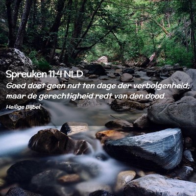 Picture 02 - Spreuken 11:4 NLD - Goed doet geen nut ten dage der verbolgenheid; - Bible Verse Picture