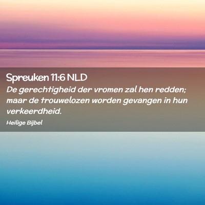 Picture 02 - Spreuken 11:6 NLD - De gerechtigheid der vromen zal hen redden; maar - Bible Verse Picture
