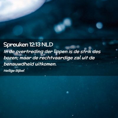 Picture 02 - Spreuken 12:13 NLD - In de overtreding der lippen is de strik des - Bible Verse Picture