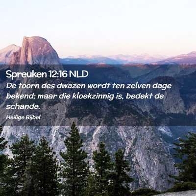 Picture 02 - Spreuken 12:16 NLD - De toorn des dwazen wordt ten zelven dage bekend; - Bible Verse Picture