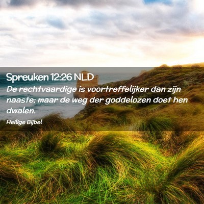 Picture 02 - Spreuken 12:26 NLD - De rechtvaardige is voortreffelijker dan zijn - Bible Verse Picture