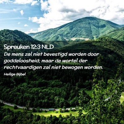 Picture 02 - Spreuken 12:3 NLD - De mens zal niet bevestigd worden door - Bible Verse Picture
