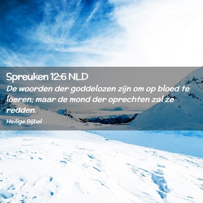 Picture 02 - Spreuken 12:6 NLD - De woorden der goddelozen zijn om op bloed te - Bible Verse Picture