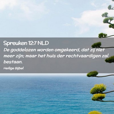 Picture 02 - Spreuken 12:7 NLD - De goddelozen worden omgekeerd, dat zij niet meer - Bible Verse Picture
