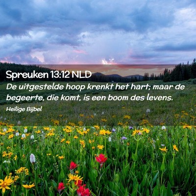 Picture 02 - Spreuken 13:12 NLD - De uitgestelde hoop krenkt het hart; maar de - Bible Verse Picture