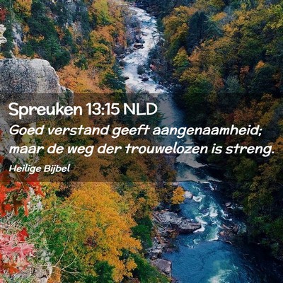 Picture 02 - Spreuken 13:15 NLD - Goed verstand geeft aangenaamheid; maar de weg - Bible Verse Picture